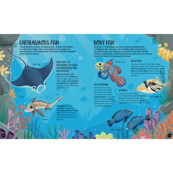 Animals - The Ultimate Atlas - New Edition