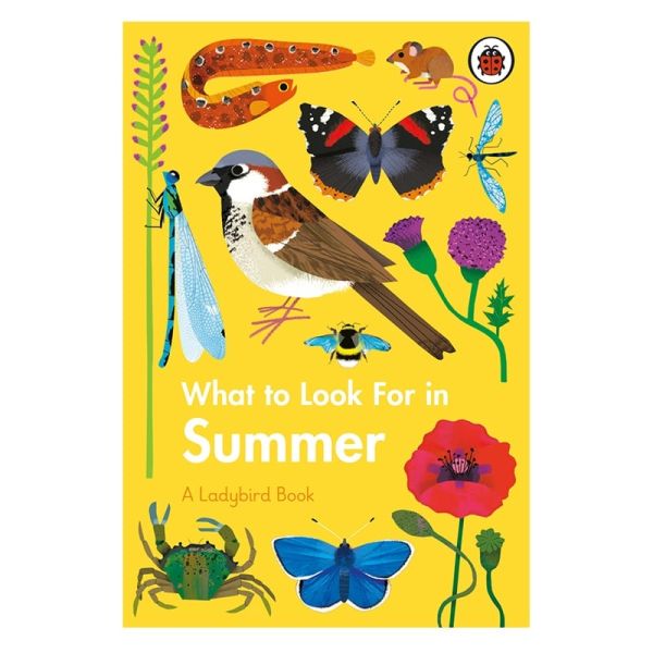What To Look For In Summer