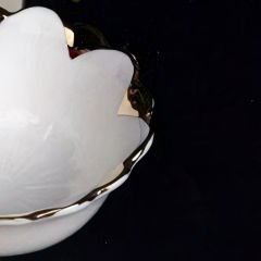 Gold Çerçeve Çiçek Desenli 12 Parça Çorba Kasesi