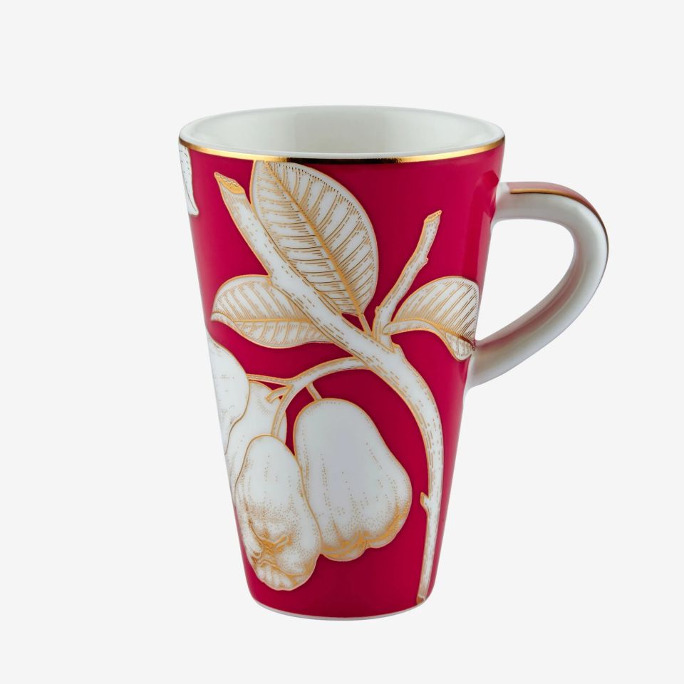 Fuşya Porselen Kahve Fincan Seti 100 Ml Ravello Collection by Chiara Alessi