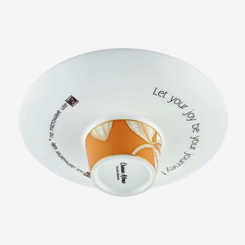 Terrakota Porselen Kahve Fincan Seti 100 Ml Ravello Collection by Chiara Alessi
