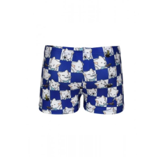 KIDS BOY´S ARENA FRIENDS SWIM SHORT ALLOVER