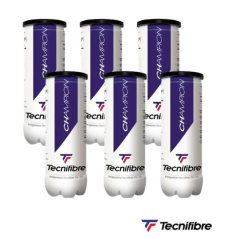 Tecnifibre CHAMPION (3 TOPLU KUTU) 6'lı