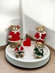 Aile Temalı ayıcıklar seti