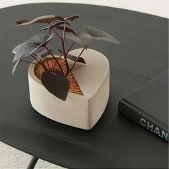 Bir yanı açık kalpli kutu