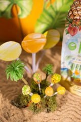 MOM Organik Tropikal Lolipop