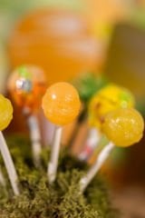 MOM Organik Tropikal Lolipop