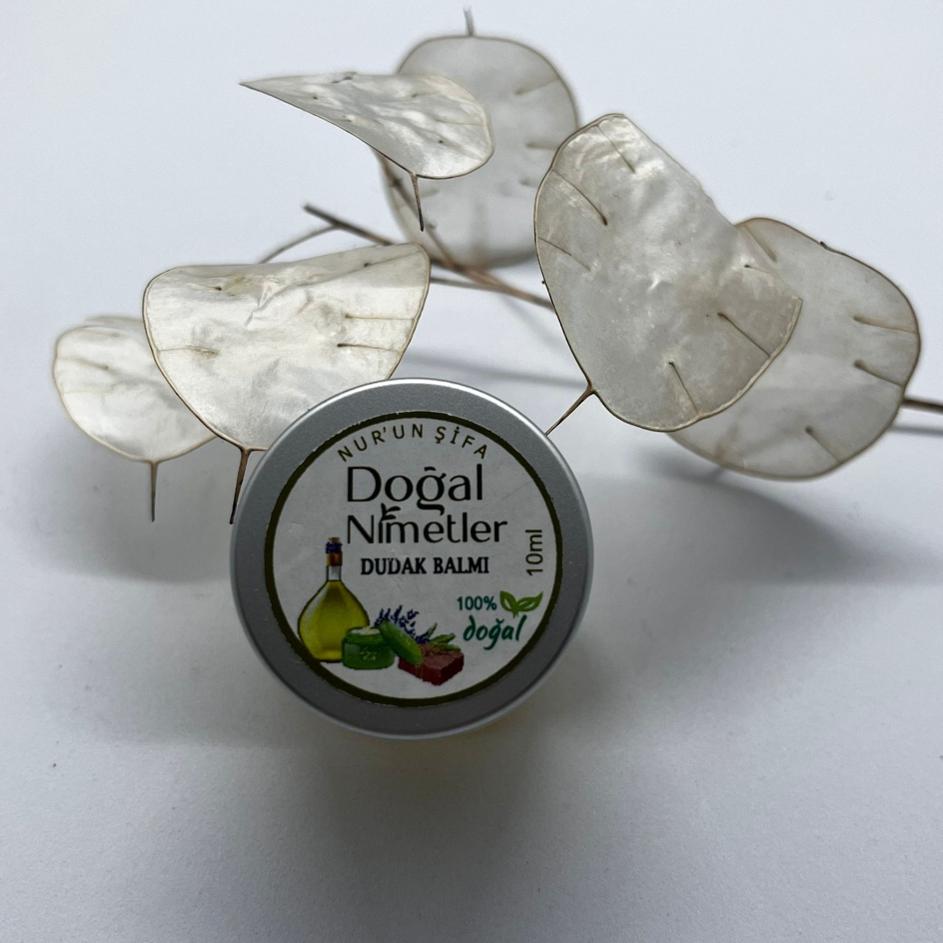 DUDAK BALMI