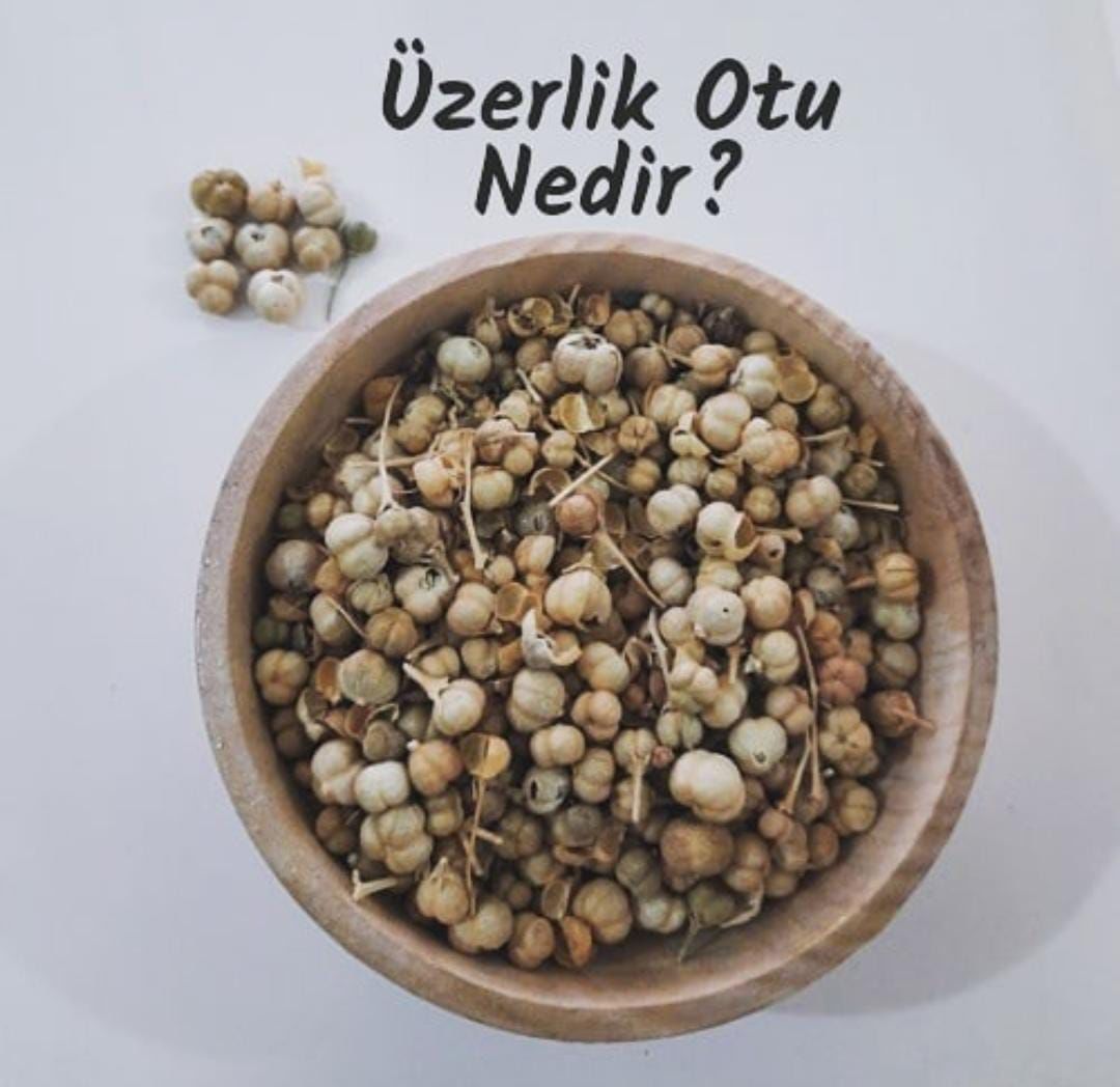 ÜZERLİK OTU