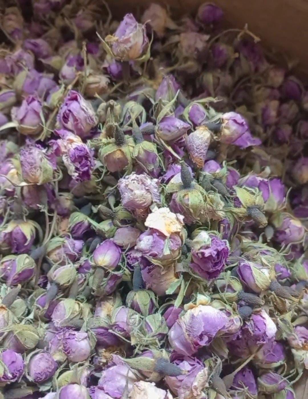 ISPARTA TOMURCUK GÜL 50 GR