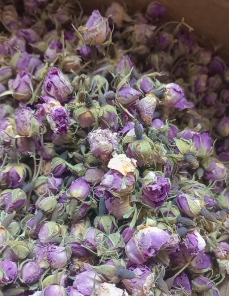 TOMURCUK GÜL 50 GR