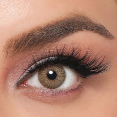 Labella Exclusive Dark Brown Yıllık