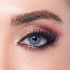 Labella Exclusive Gray Yıllık