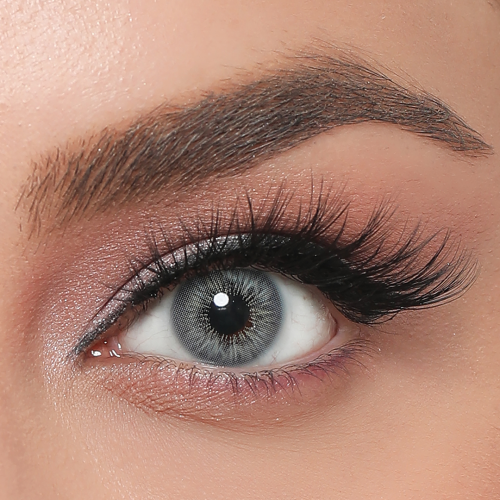 Labella Premium Gray Yıllık