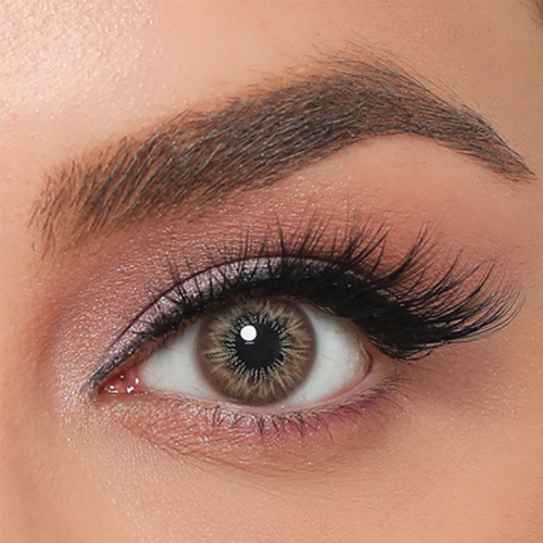 Labella Premium Hazel Yıllık