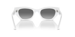 RAY-BAN RB4430 ZENA 675911 52 GÜNEŞ GÖZLÜGÜ