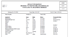 Kestane Balı 460 GR
