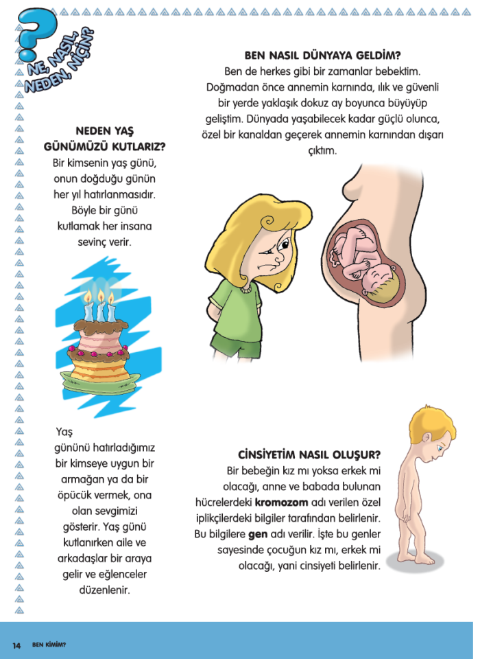Kök Çocuk Ansiklopedisi 1. CİLT