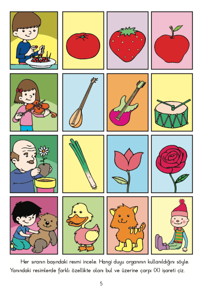 Okul Öncesi Etkinlikler (11 Kitap)