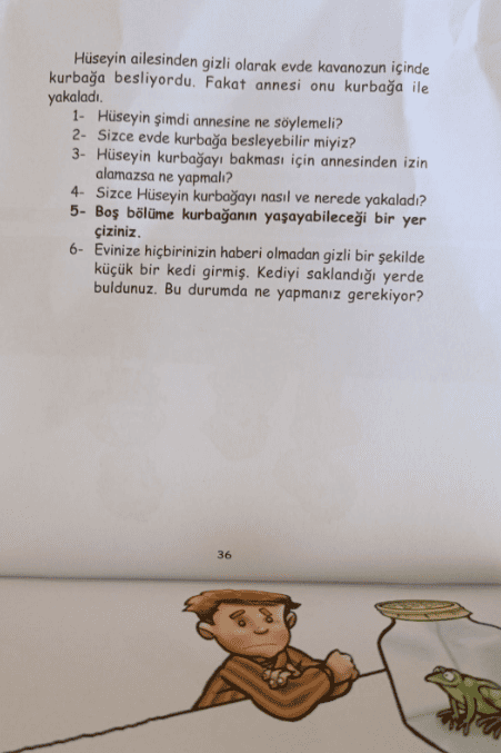 Problem Çözme Etkinlikleri (Küçük Boy)