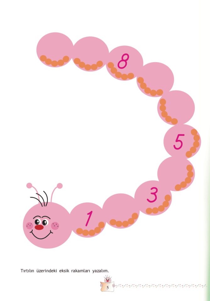 Sayılar Dünyası - 2