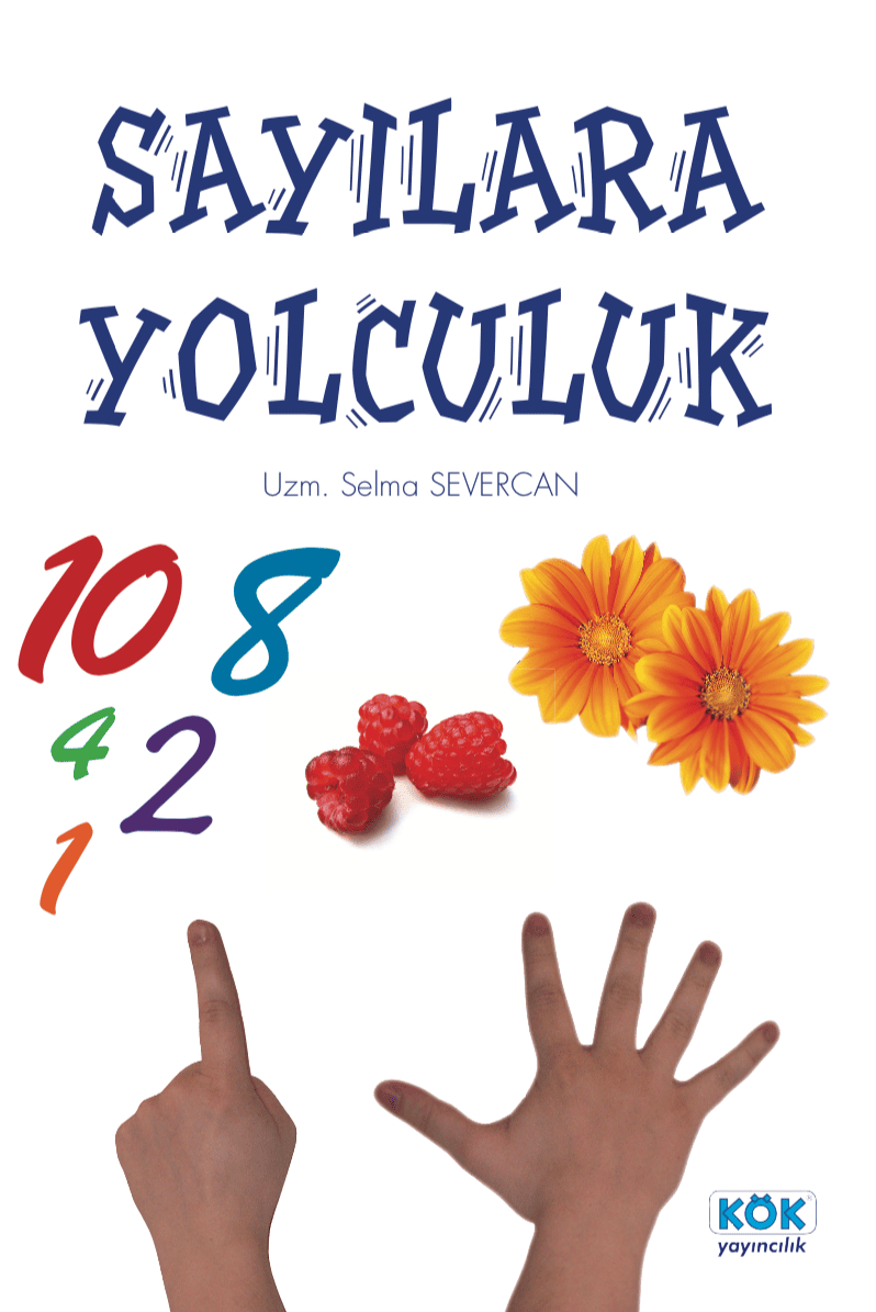 Sayılara Yolculuk