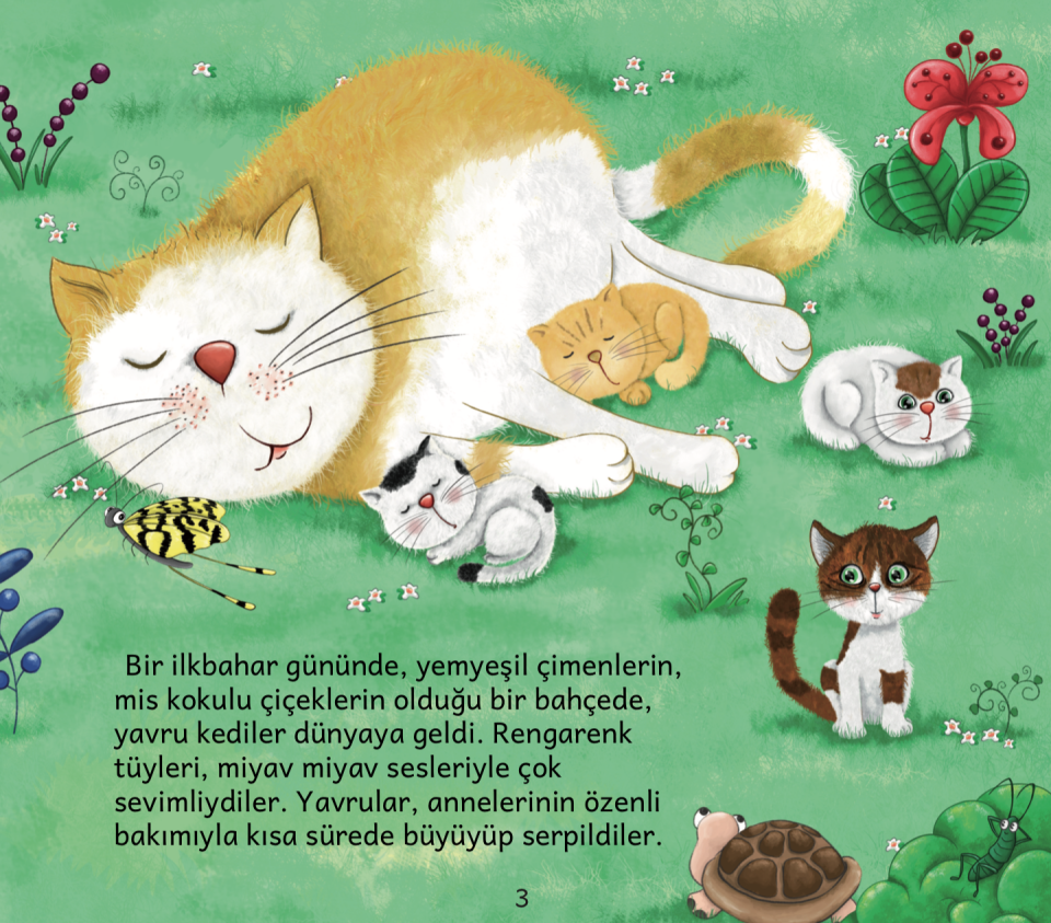 Anaokulu Kedisi Hayat