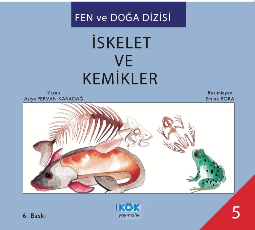 İskelet ve Kemikler