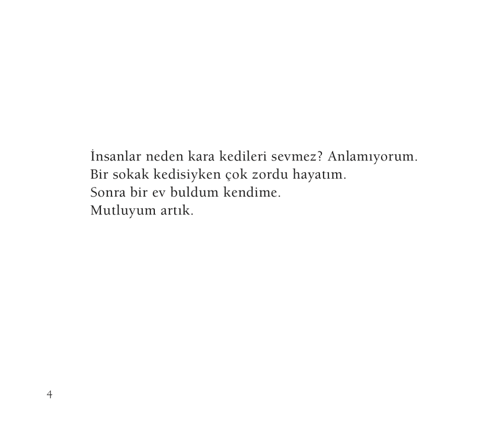 Kara Kedi Güzel Kedi