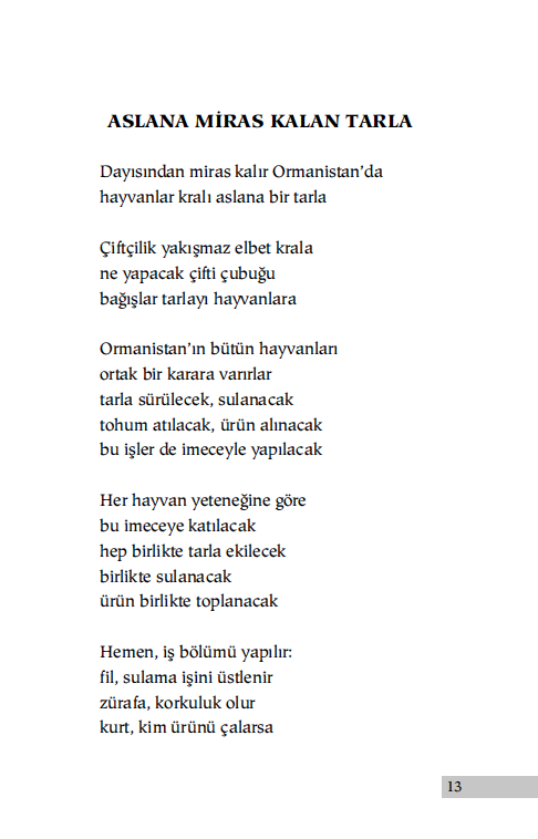 Kuyruğu Zıp Zıp Kanguru