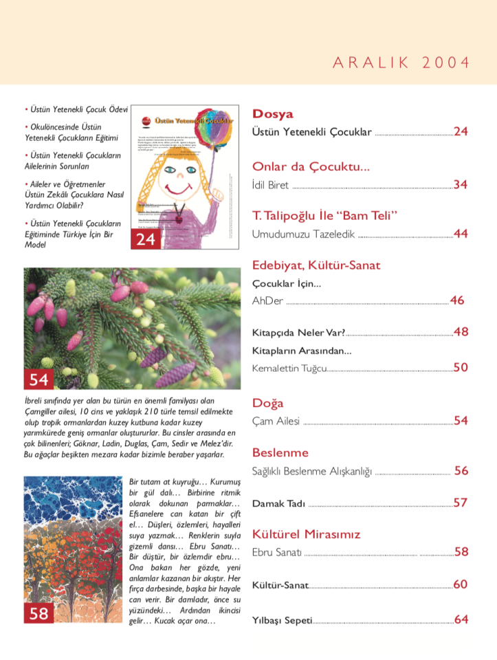 Çoluk Çocuk Aylık Anne Baba Eğitim Dergisi Sayı:45