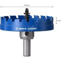 Bosch Expert 90 mm Elmaslı Inox Panç Adaptörlü 2608901447