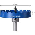 Bosch Expert 100 mm Elmaslı Inox Panç Adaptörlü 2608901449