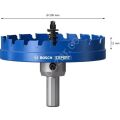 Bosch Expert 100 mm Elmaslı Inox Panç Adaptörlü 2608901449