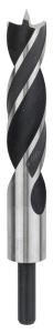 Bosch - Ahşap Matkap Ucu 28*220 mm 2608597207