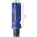 Bosch 22 mm Expert Sert Malzemeler Için Panç 2608900420