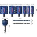 Bosch Expert 9 Parça Sert Malzemeleri Için Panç Seti 2608900445