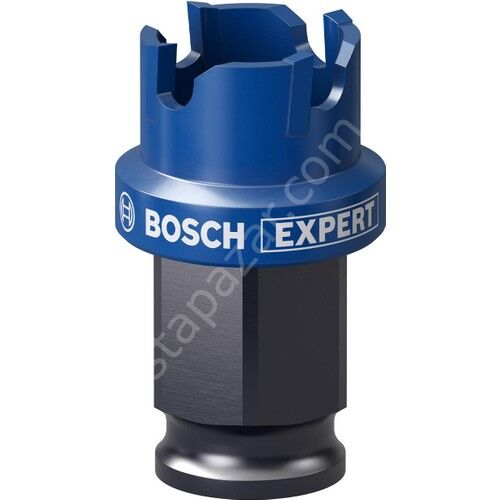 Bosch Expert Sheet Metal Delik Açma Testeresi 22 x 5 mm