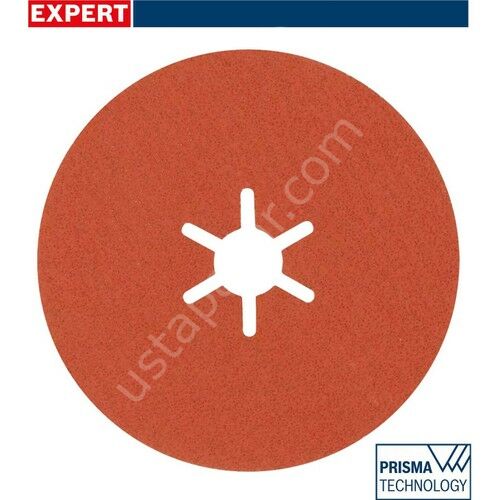 Bosch R782 Expert 100 mm 80 Kum Inox Disk Zımpara 25'li 2608621818