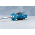 Profesyonel Tornavida SL5.5X100MM