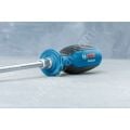 Profesyonel Tornavida SL5.5X100MM