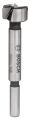 Bosch - Menteşe Açma Ucu 20 mm 2608596973
