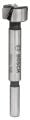 Bosch - Menteşe Açma Ucu 20 mm 2608596973