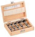 Bosch - 5 Parçalı Menteşe Açma Ucu Seti 2607018395