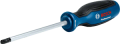 Bosch Profesyonel Torx Tornavida TX40x125 1600A01V0F