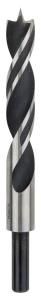Bosch - Ahşap Matkap Ucu 16*160 mm 2608596313