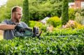 Bosch Universal HedgeCut 60 Çit Kesme Makinesi 06008C0700