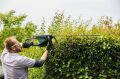 Bosch Universal HedgeCut 70 Çit Kesme Makinesi 06008C0900