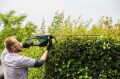 Bosch Universal HedgeCut 70 Çit Kesme Makinesi 06008C0900