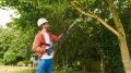 Bosch UniversalChainPole 18 Akülü Teleskopik Ağaç Budama 06008B3100